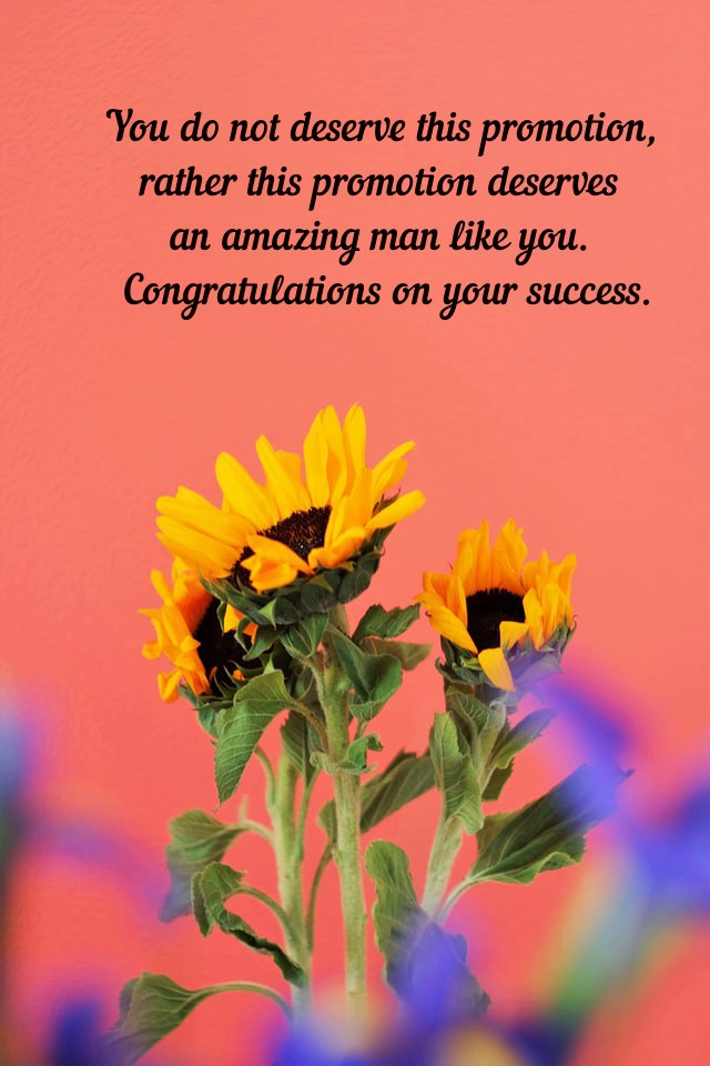 Congratulations Quotes for Promotion to Senior and Images