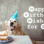 Cute Doggie Happy Birthday Wishes for Dog with Images Happy Birthday Dog