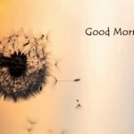 Sweet Good Morning Messages to Make Her Fall in Love