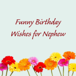 Funny Birthday Wishes for Nephew