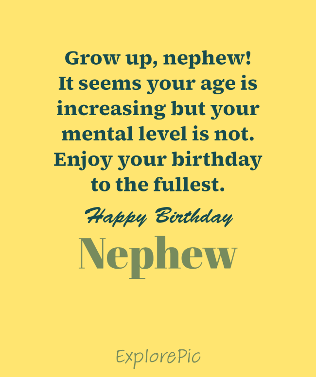 Funny Birthday Wishes for Nephew 3