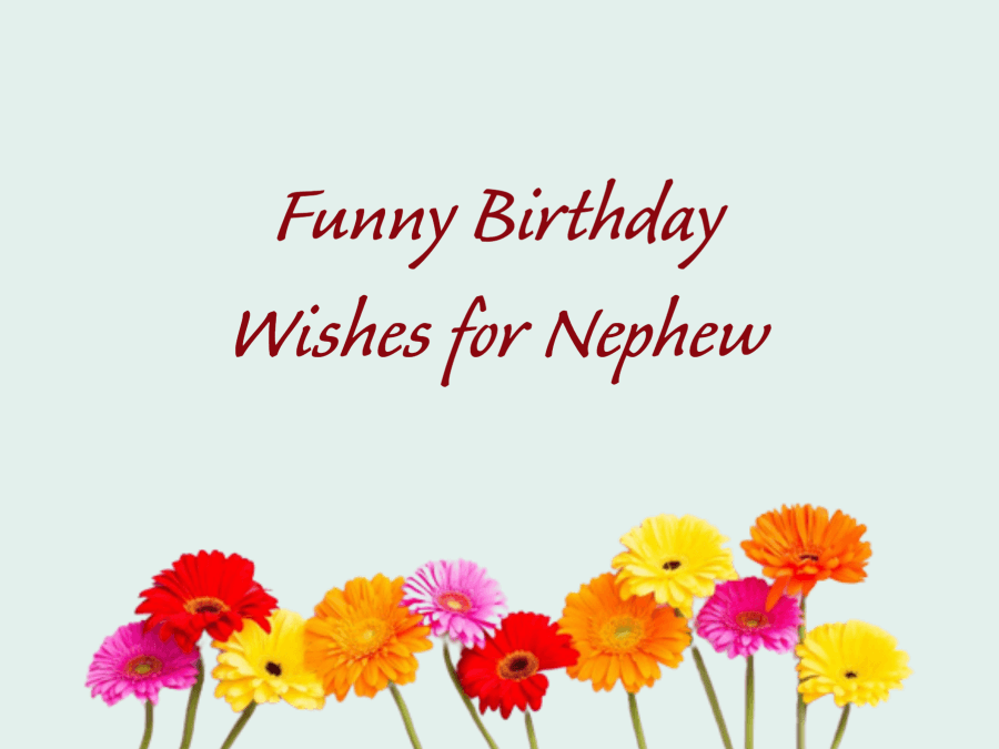 Funny Birthday Wishes for Nephew