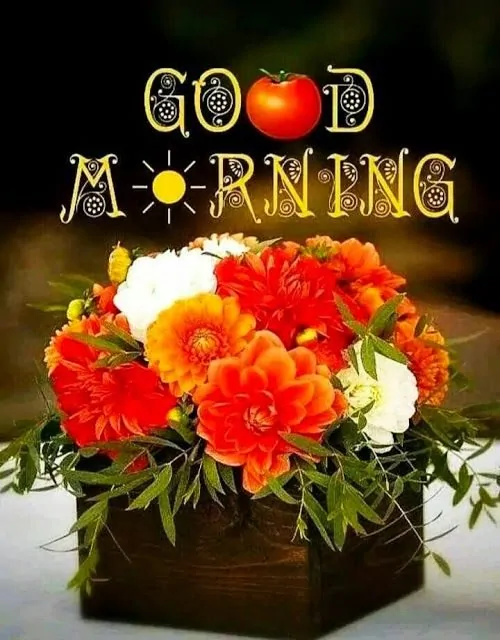 Welcome the new day with smile on your face - Good Morning