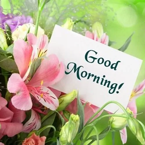 Good morning to you wishes and msg