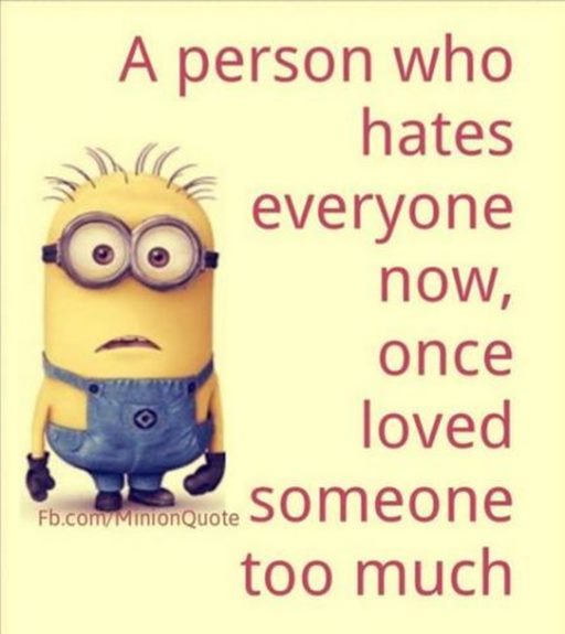 150 Minions Quotes With Pictures 12