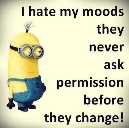 150 Minions Quotes With Pictures 18