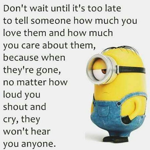 150 Minions Quotes With Pictures 2