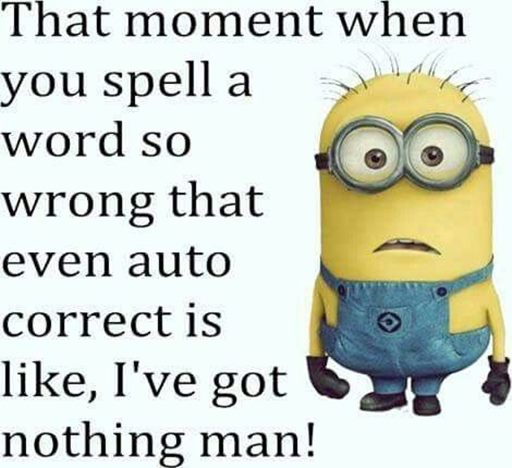 150 Minions Quotes With Pictures 20