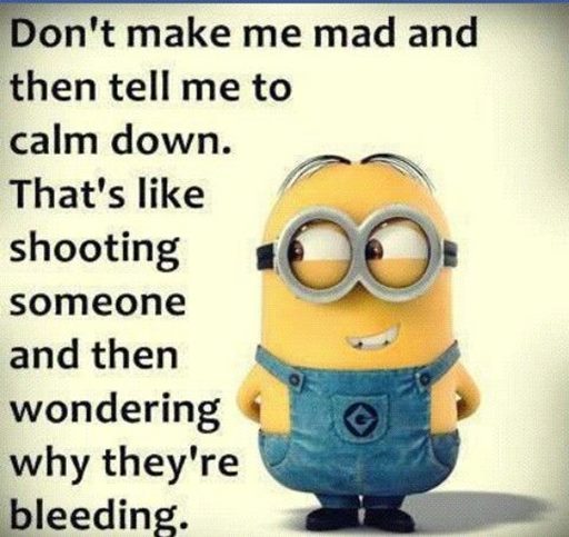 150 Minions Quotes With Pictures 23