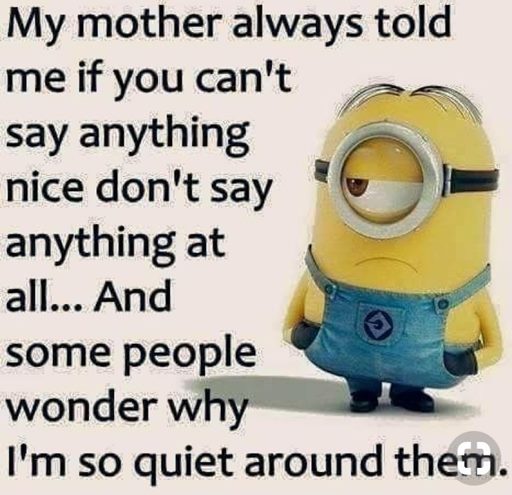 150 Minions Quotes With Pictures 28