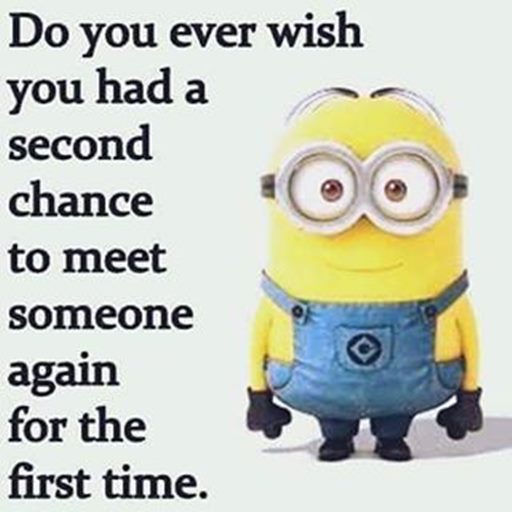 150 Minions Quotes With Pictures 37