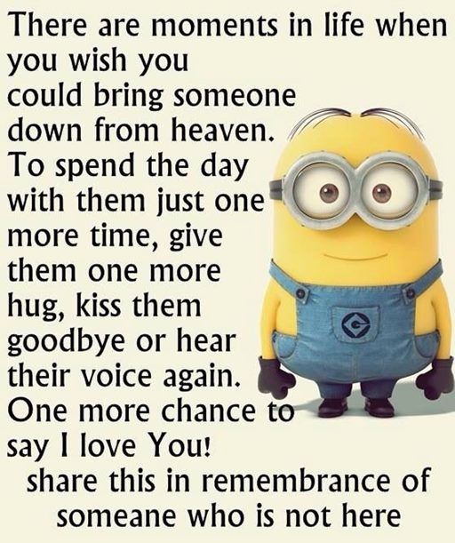 150 Minions Quotes With Pictures 39