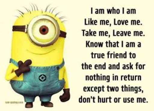 150 Minions Quotes With Pictures 41