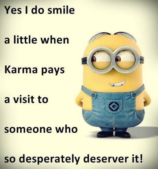 150 Minions Quotes With Pictures 45