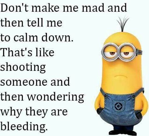 150 Minions Quotes With Pictures 52
