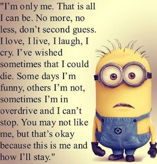 150 Minions Quotes With Pictures 54