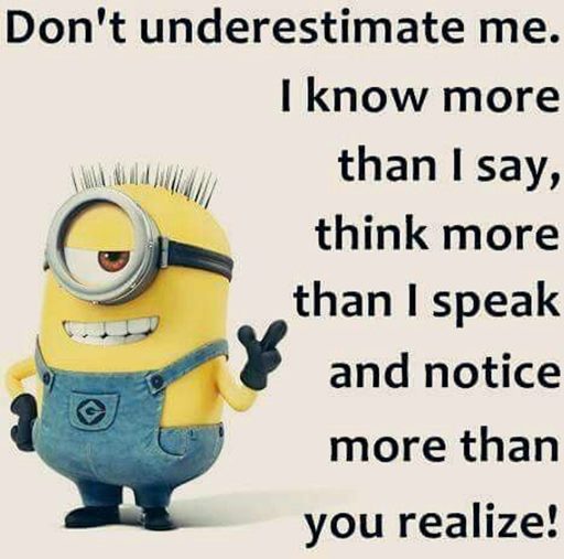 150 Minions Quotes With Pictures 59