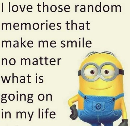 150 Minions Quotes With Pictures 7