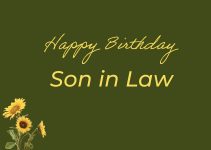 65 Sweet Birthday Wishes for Son in Law – Happy Birthday Son in Law