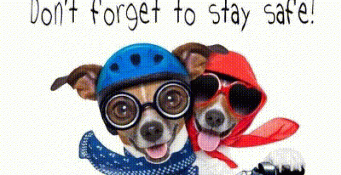 Happy Weekend GIFs